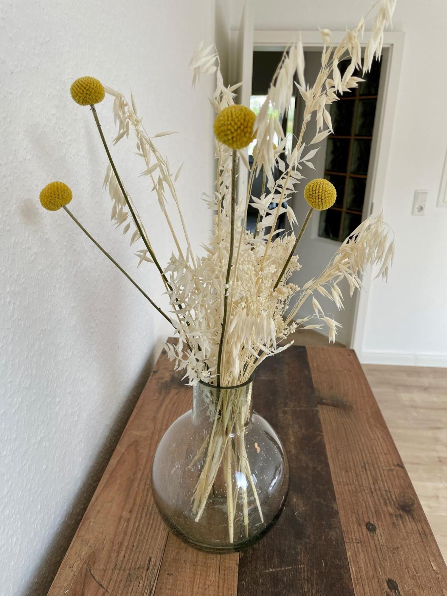 Apartament Bright Elzer Strasse Hildesheim Zewnętrze zdjęcie